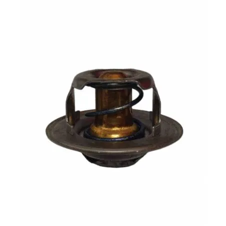 Termostat racire apa Case 82 grade, 153623588, 153630400 - 1