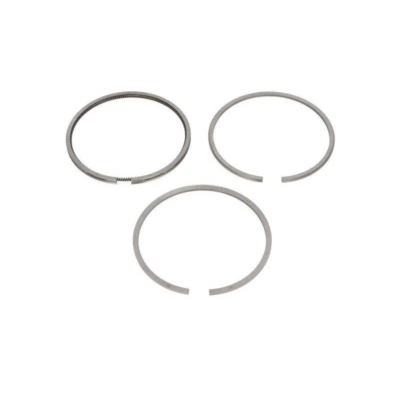 Segmenti compresor Man F2000/TGA/TGL/TGM 9115019202 - 1