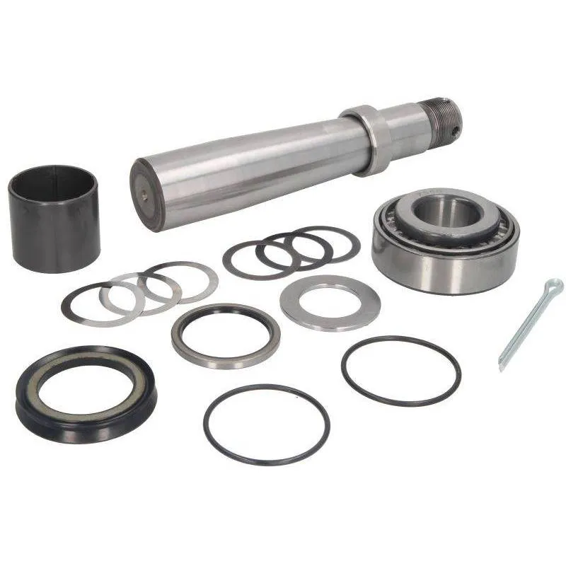 Kit reparatie pivoti Volvo 270912,3090276 - 1