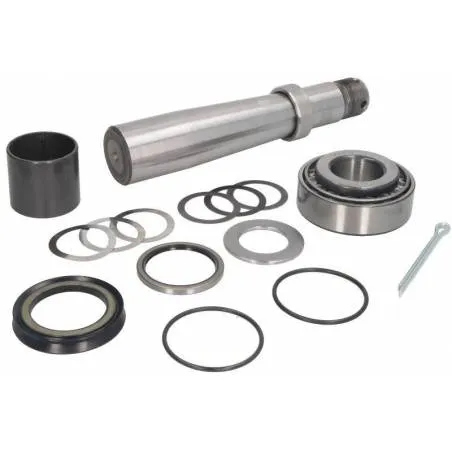Kit reparatie pivoti Volvo 270912,3090276 - 1