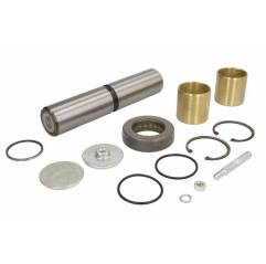 Kit reparatie pivoti Mercedes A3553300319,A3555860033 - 1