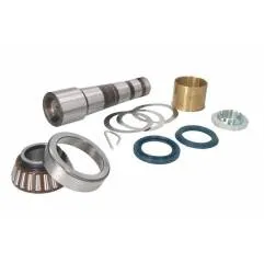 Kit reparatie pivoti Volvo/Renault 7485133870,LE812 - 1