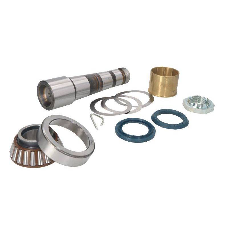 Kit reparatie pivoti Volvo/Renault 7485133870,LE812 - 1