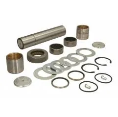 Kit reparatie pivoti Man F2000 81442040008,81442056009 - 1