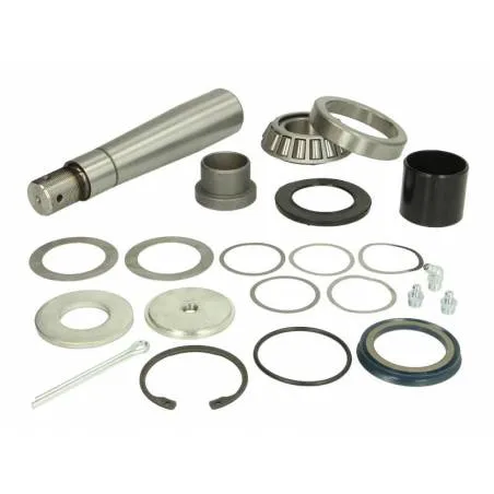 Kit reparatie pivoti Volvo 276033S1,276193S1 - 1