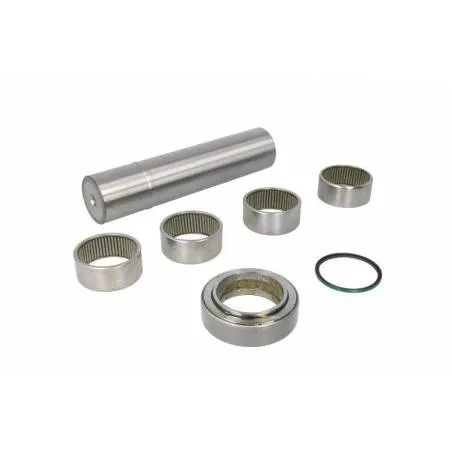 Kit reparatie pivoti Mercedes Actros A6593300319,A6593300419 - 1