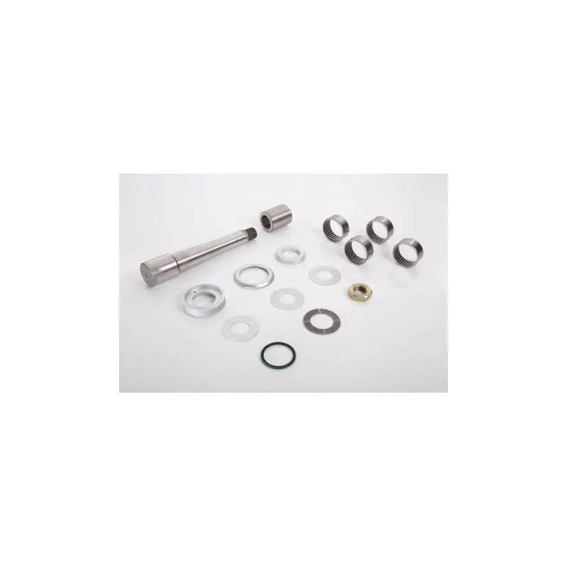 Kit reparatie pivoti Daf 0680374,0681621 - 1
