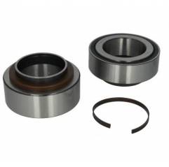 Kit rulmenti roata Daf CF/XF 1391516,1428396 - 1