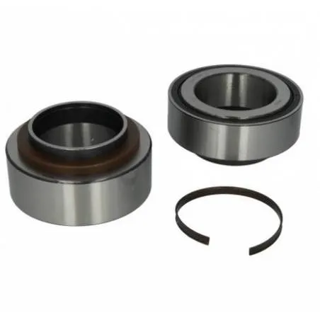 Kit rulmenti roata Daf CF/XF 1391516,1428396 - 1