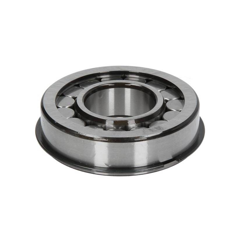 Rulment diferential Daf CF 0077059,77059 - 1