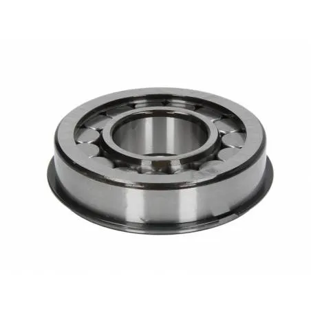 Rulment diferential Daf CF 0077059,77059 - 1