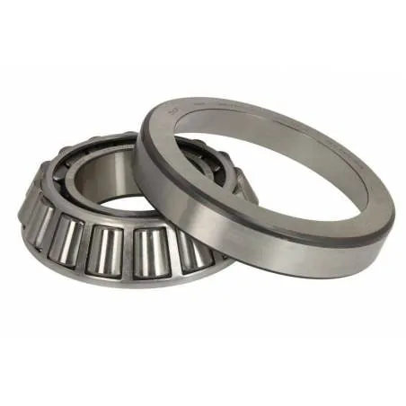 Rulment diferential Iveco 42102313 - 1