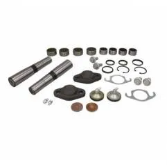 Kit reparatie pivoti Iveco EuroCargo 1904696 - 1