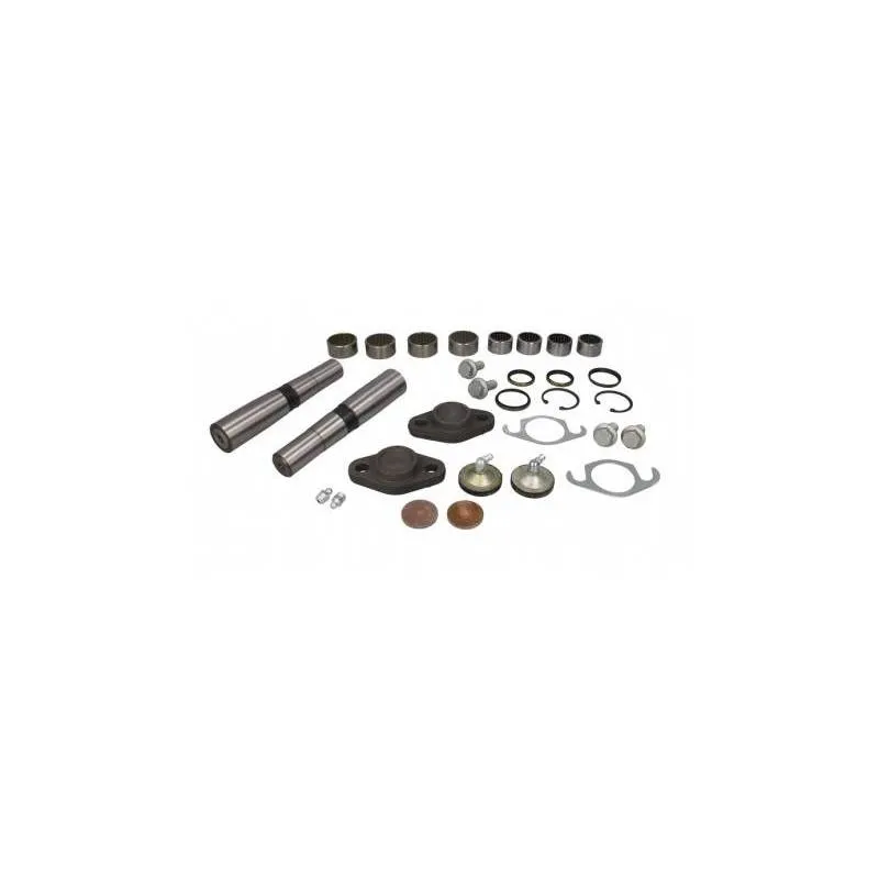 Kit reparatie pivoti Iveco EuroCargo 1904696 - 1