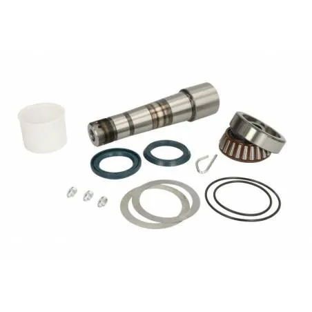 Kit reparatie pivoti Volvo 3093731,3093731S - 1