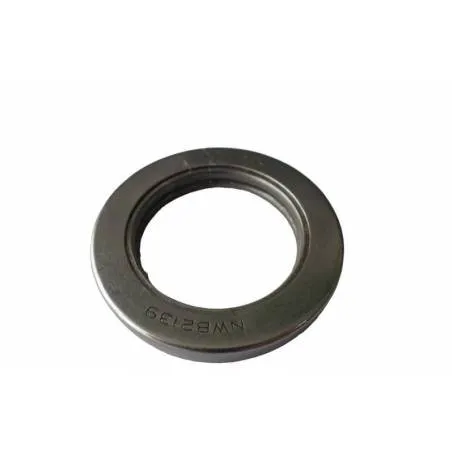 Rulment fuzeta Case, 	3057058R91 - 1