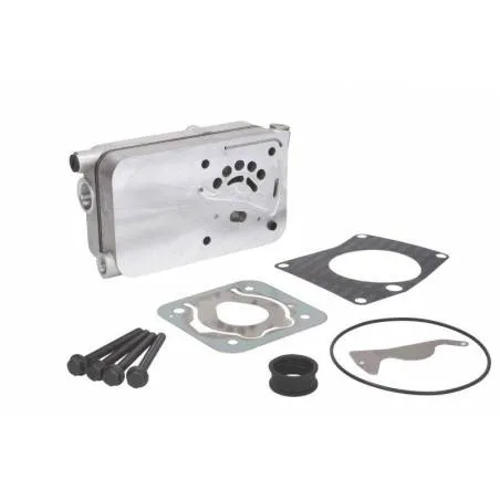 Chiuloasa compresor Mercedes A0011302615,0011305219