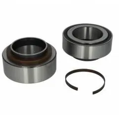 Kit rulmenti roata Daf CF/XF 1391516,1428396 - 1