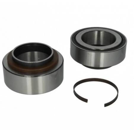 Kit rulmenti roata Daf CF/XF 1391516,1428396 - 1