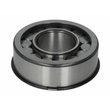 Rulment coroana diferential Scania 1309569,1768383 - 1