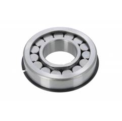 Rulment diferential Scania 1354652,174947 - 1