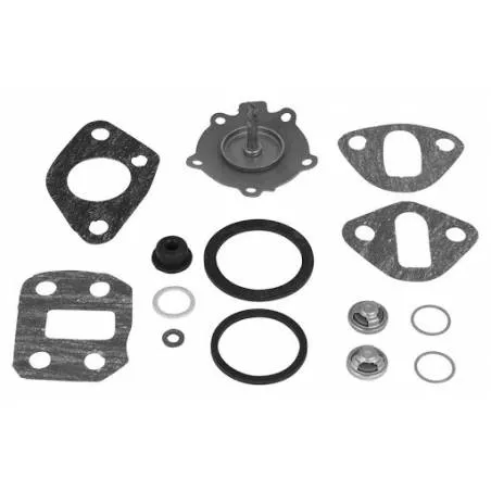 Kit Reparatie Pompa Alimentare AST7924, 7950812 AST - 1