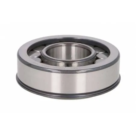 Rulment diferential Man 06326090065,81934206068 - 1