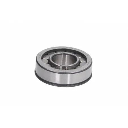 Rulment diferential Man 06326090065,81934206068 - 1