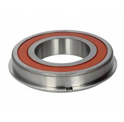 Rulment cutie de viteze ZF 0750116365 - 1