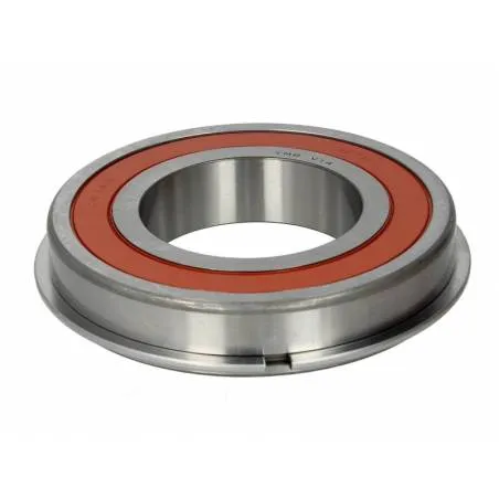 Rulment cutie de viteze ZF 0750116365 - 1