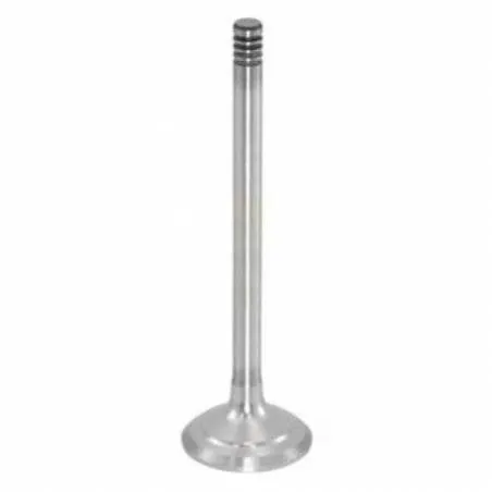 Supapa admisie Case IH,  25/42-75 - 1