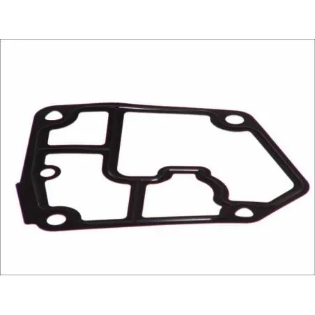 Garnitura filtru de ulei Volswagen 68001474AA