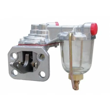 Pompa Alimentare Massey Ferguson 30/100-263E,100-263,994185,30/100-263 Bepco - 1