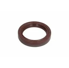 Simering 75x100x17 mm, 12013480B - 1