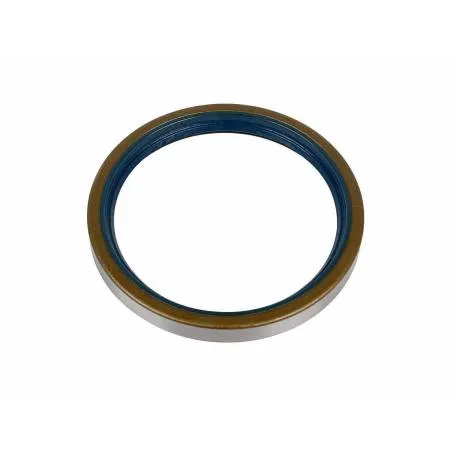 Simering etansare 100x120x13 - 1