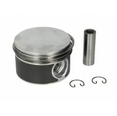 Piston compresor Mercedes FI 90 MM STD 4031300317,4031300517 - 1