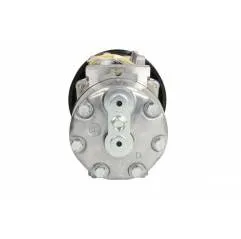 Compresor aer conditionat Renault Premium 5001867206,5010605063