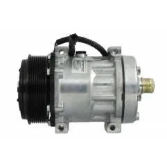 Compresor aer conditionat Iveco EuroCargo 4894306,504185596 - 1