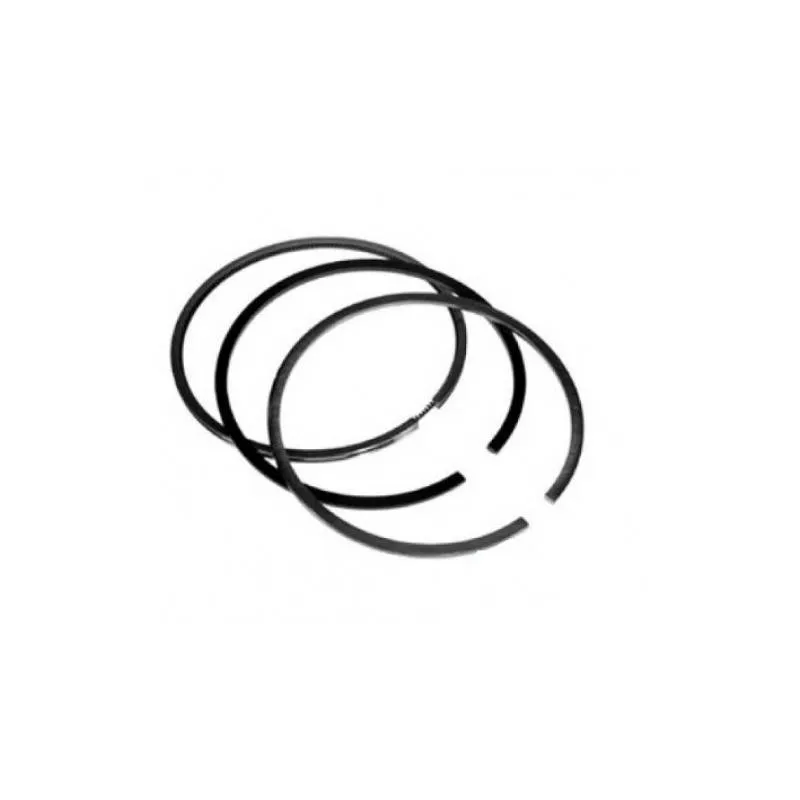 Set Segmenti Motor Fiat, New Holland 1930191, 4770499, 153634136, 1902440 Kmp - 1