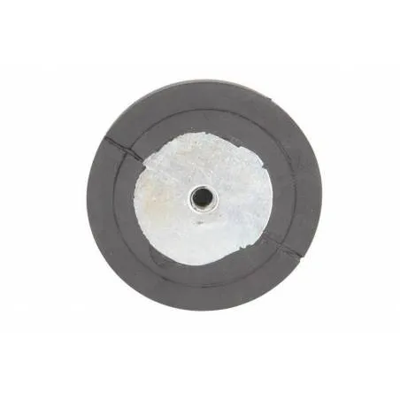 Tampon arc Man TGA/TGS/TGX 81962100552,STR-120209