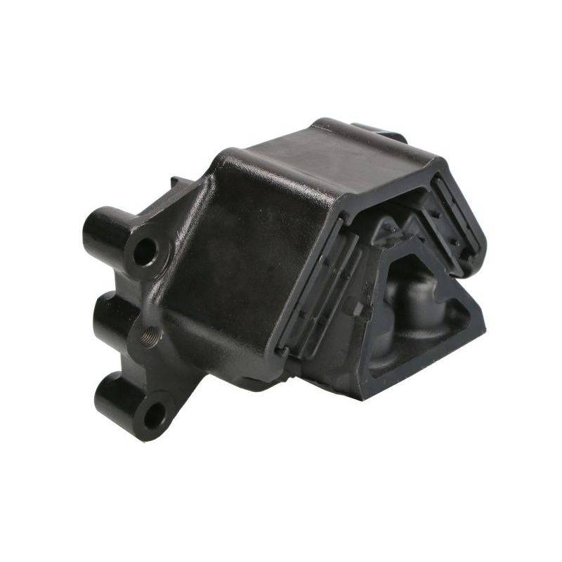 Tampon motor Man Euro 6 81962100665,STR-1202317 - 1