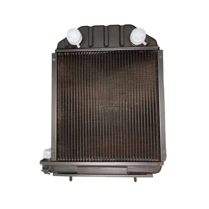 Radiator apa Ford Dexta 81805483, 957E8005 - 1
