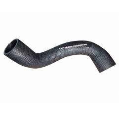 Furtun inferior radiator Ford 81805637 - 1