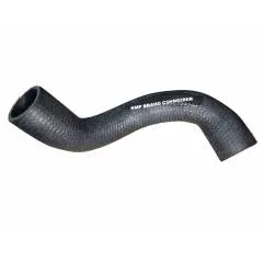 Furtun inferior radiator Ford 81805637 - 1