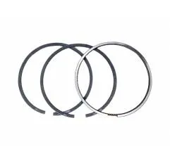 Set segmenti motor Case-IH Fi 98.42 MM 3059261R91, 3139594R91,H3139594R91 - 1