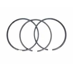 Set segmenti motor Case-IH Fi 98.42 MM 3218416R92, 87556004,3144452R91 - 1