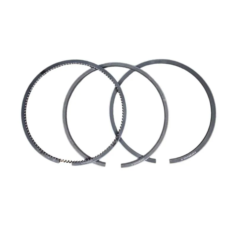 Set segmenti motor Case-IH Fi 98.42 MM 3218416R92, 87556004,3144452R91 - 1