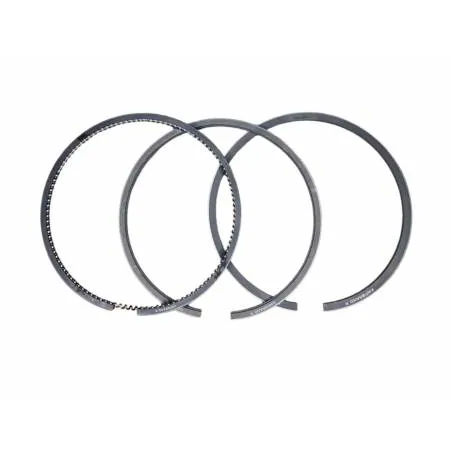 Set segmenti motor Case-IH Fi 98.42 MM 3218416R92, 87556004,3144452R91 - 1