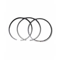 Set segmenti motor Fiat 1900677, 1900682, 1901496 - 1