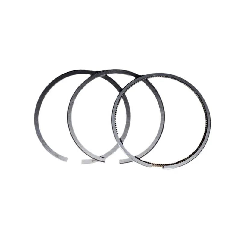 Set segmenti motor Fiat 1900677, 1900682, 1901496 - 1